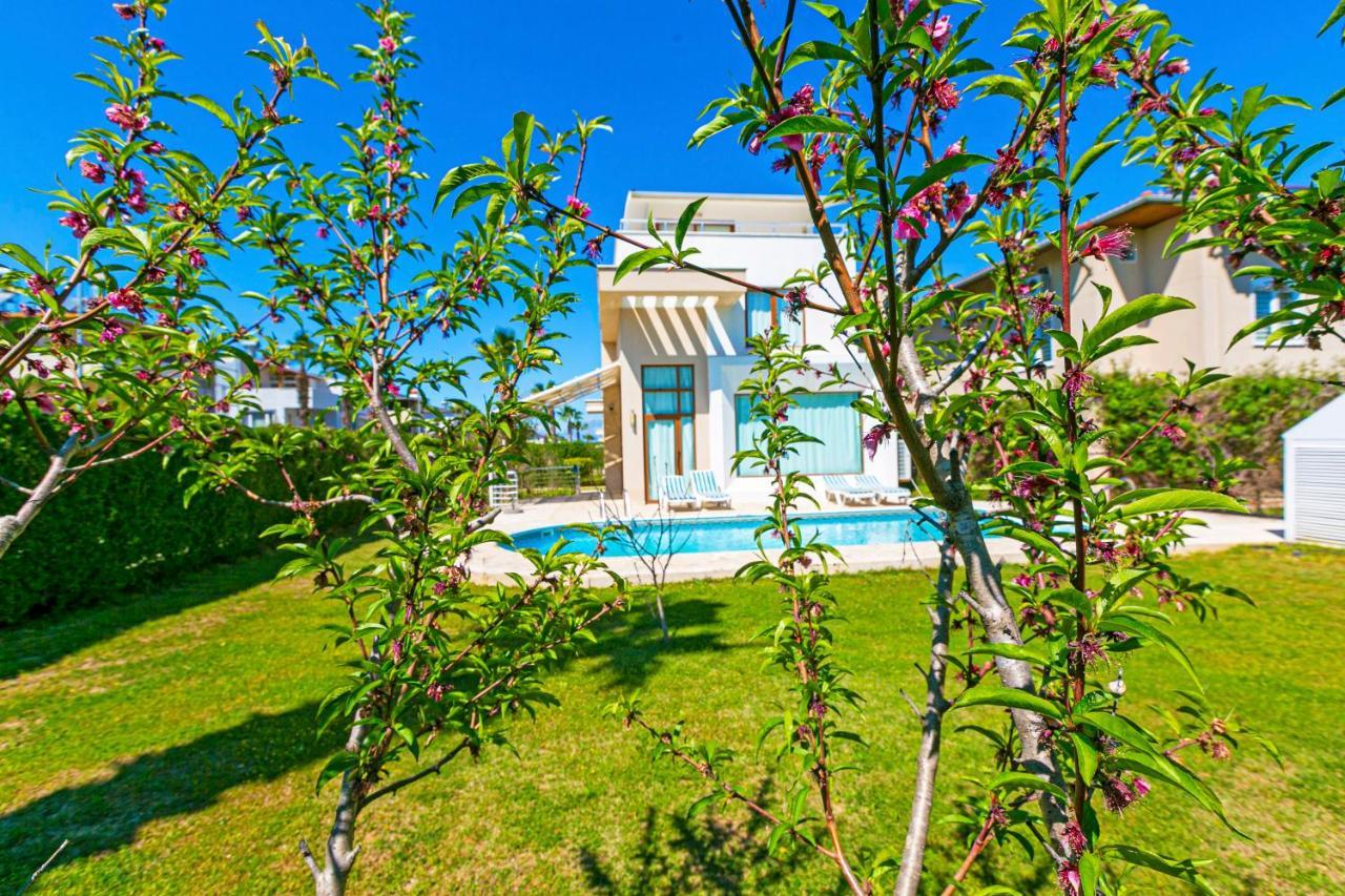 Paradise Town Villa Daisy Belek Esterno foto